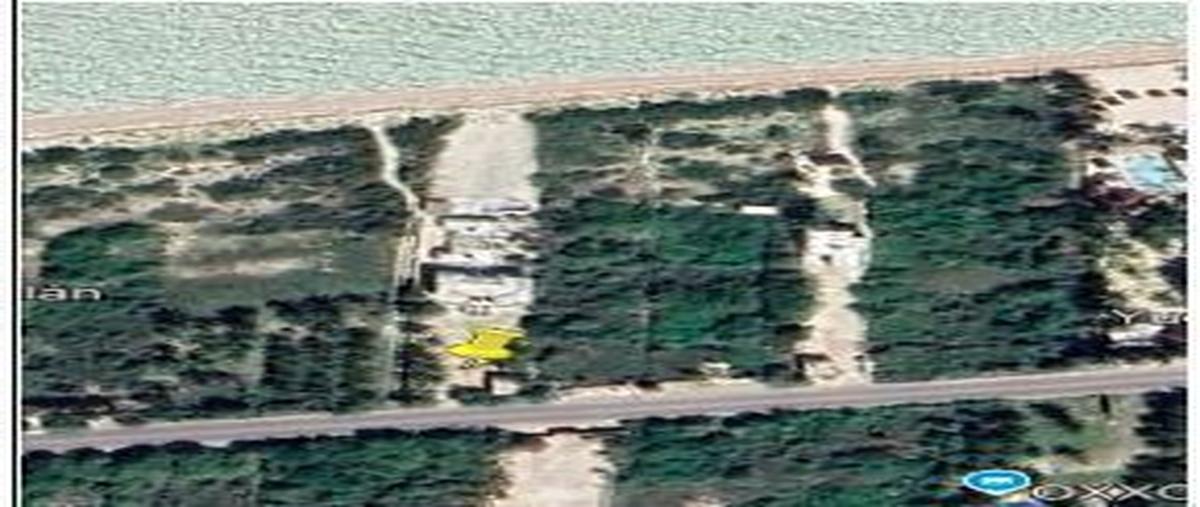 Foto de terreno habitacional en venta en 0 , san diego, dzemul, yucatán, 29740227 No. 04