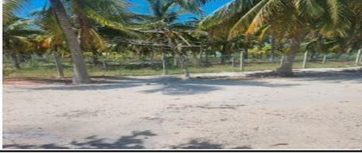 Foto de terreno habitacional en venta en 0 , san diego, dzemul, yucatán, 29740227 No. 05
