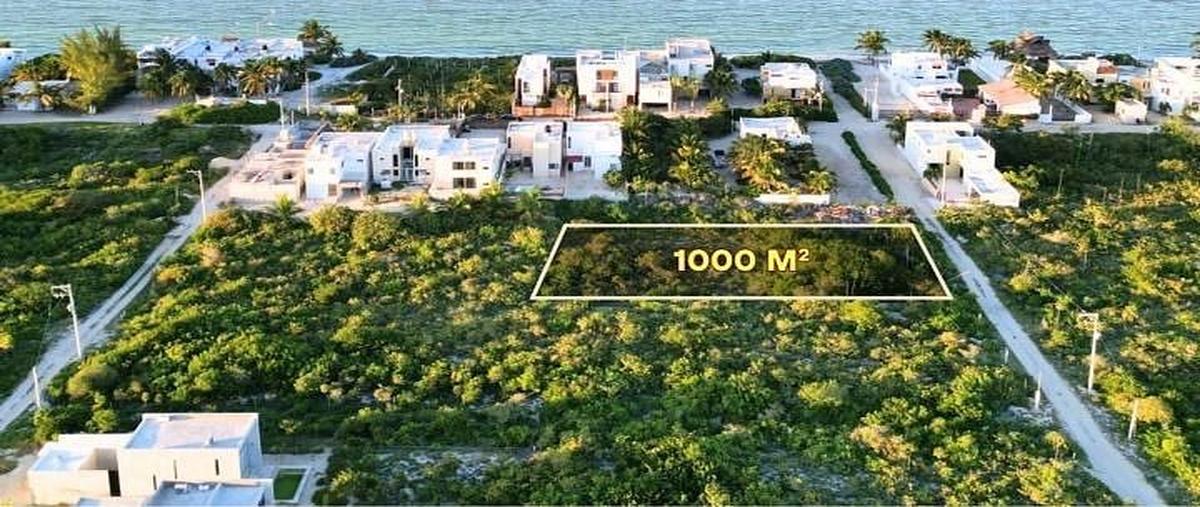 Foto de terreno habitacional en 0 , san diego, dzemul, yucatán, 0 foto 01 Foto de terreno habitacional en venta en 0 , san diego, dzemul, yucatán, 0 No. 01
