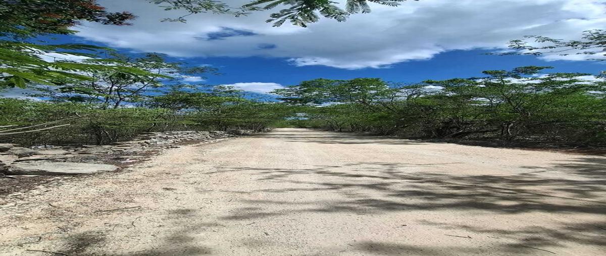 Foto de terreno habitacional en venta en 0 , seye, seyé, yucatán, 28890984 No. 03