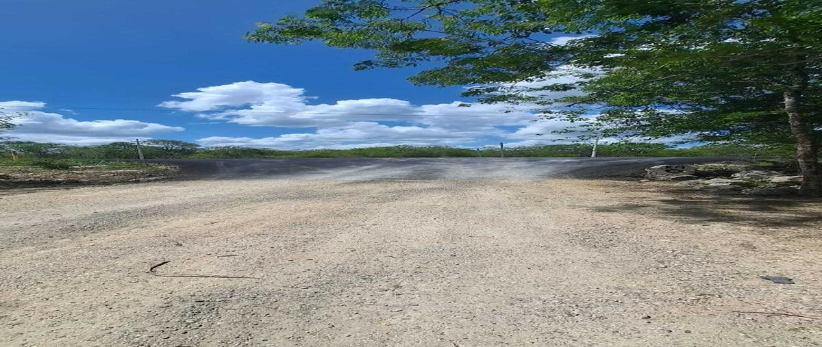 Foto de terreno habitacional en venta en 0 , seye, seyé, yucatán, 28890984 No. 04