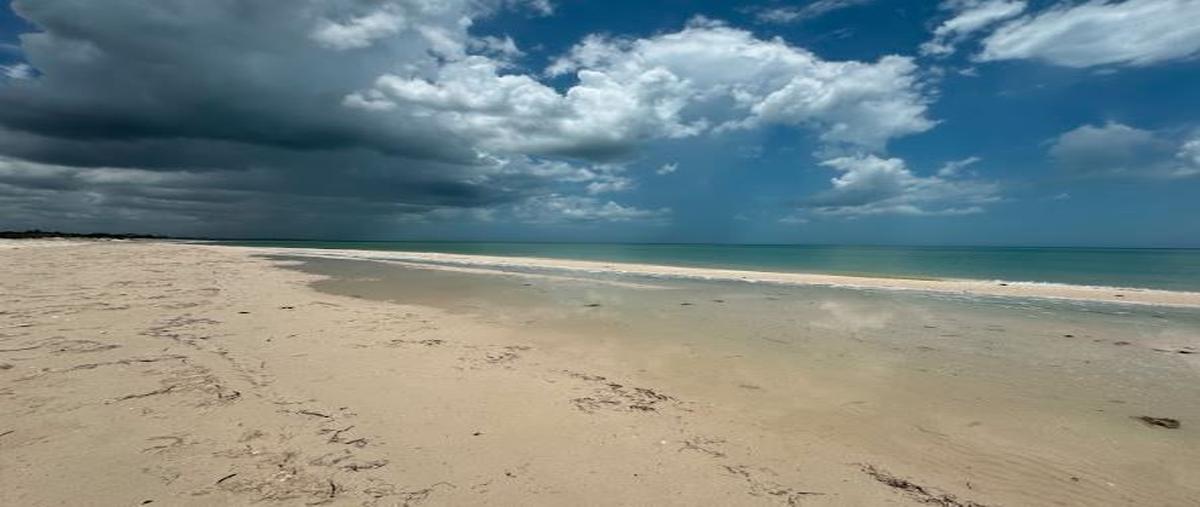 Foto de terreno habitacional en venta en 0 , sisal, hunucmá, yucatán, 0 No. 03