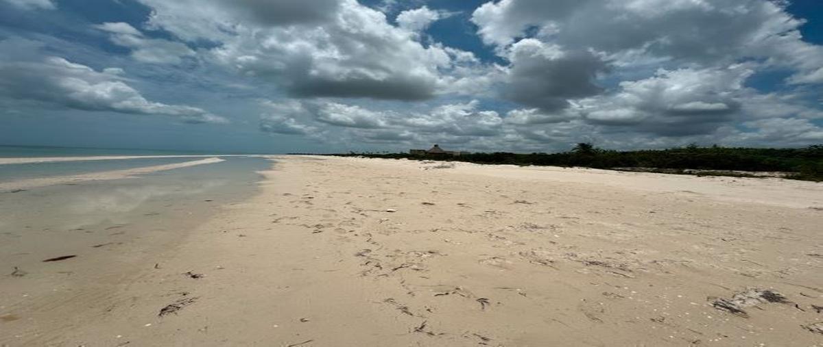 Foto de terreno habitacional en venta en 0 , sisal, hunucmá, yucatán, 0 No. 04