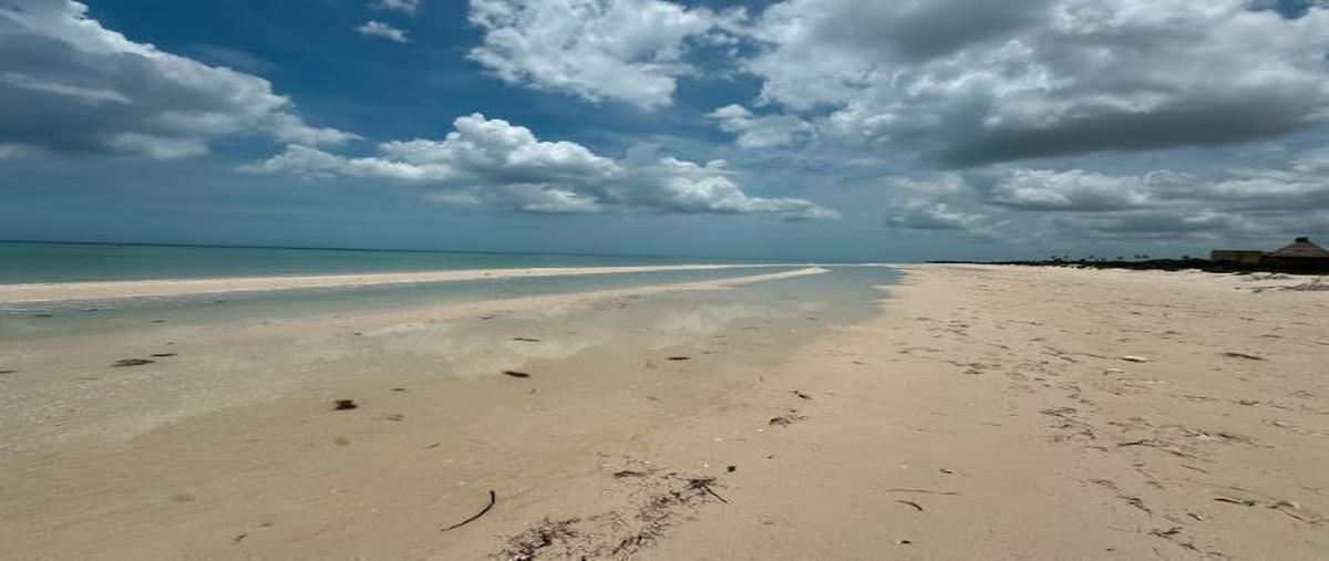 Foto de terreno habitacional en venta en 0 , sisal, hunucmá, yucatán, 0 No. 05