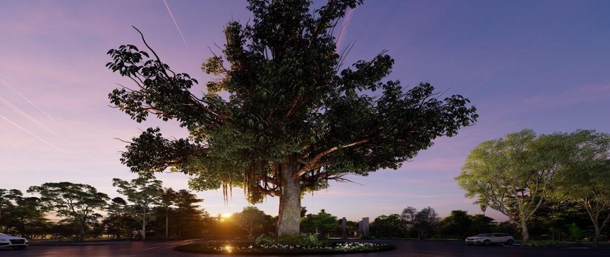 Foto de terreno habitacional en 0 , tamanché, mérida, yucatán, 28405530 foto 02 Foto de terreno habitacional en venta en 0 , tamanché, mérida, yucatán, 28405530 No. 02