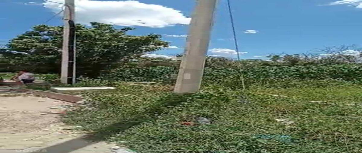 Foto de terreno habitacional en venta en 0 , temozon norte, mérida, yucatán, 0 No. 03