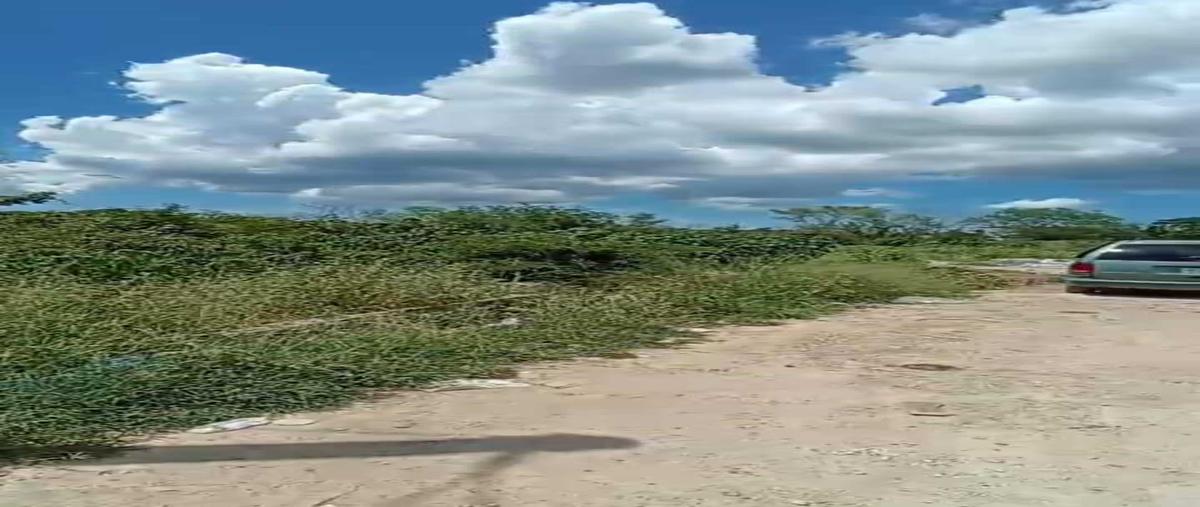 Foto de terreno habitacional en venta en 0 , temozon norte, mérida, yucatán, 0 No. 05