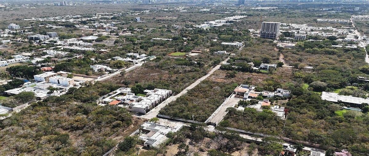 Foto de terreno habitacional en 0 , temozon, temozón, yucatán, 0 foto 05 Foto de terreno habitacional en venta en 0 , temozon, temozón, yucatán, 0 No. 05