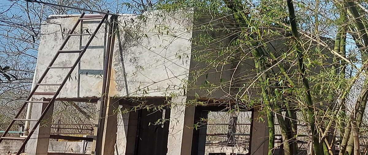 Foto de terreno habitacional en venta en 0 , tixkokob, tixkokob, yucatán, 0 No. 05