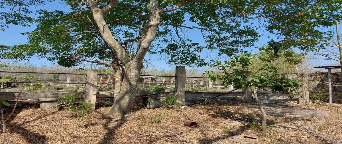 Foto de terreno habitacional en venta en 0 , tixkokob, tixkokob, yucatán, 0 No. 13