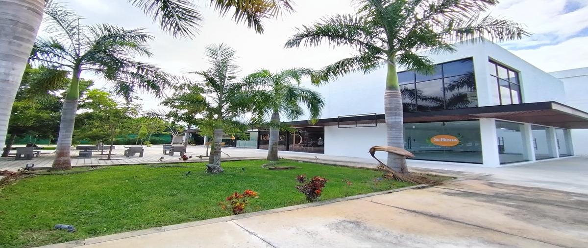 Foto de local en renta en 0 , yucatán country club, mérida, yucatán, 0 No. 03