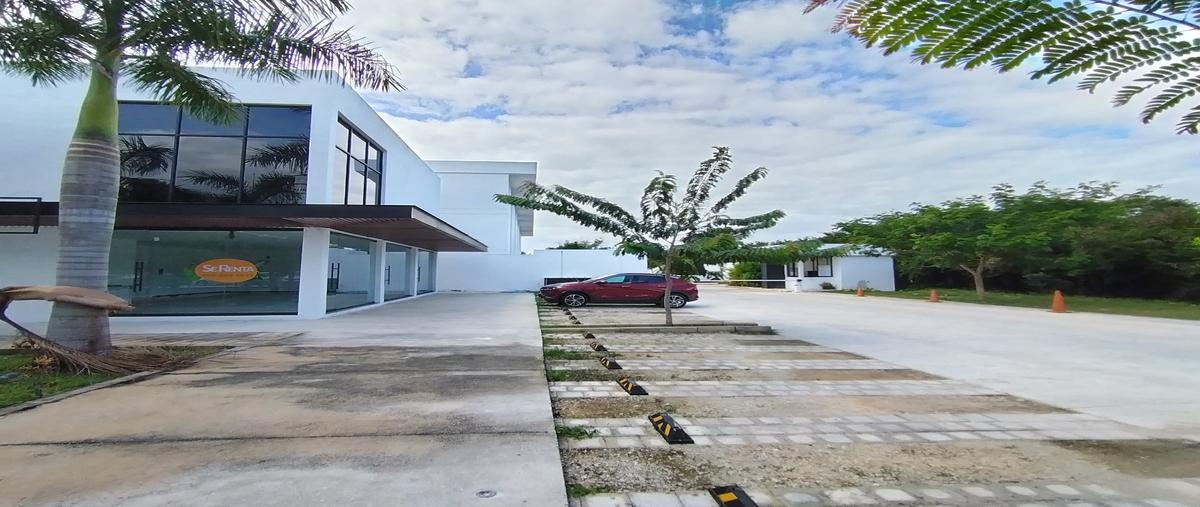 Foto de local en renta en 0 , yucatán country club, mérida, yucatán, 0 No. 04