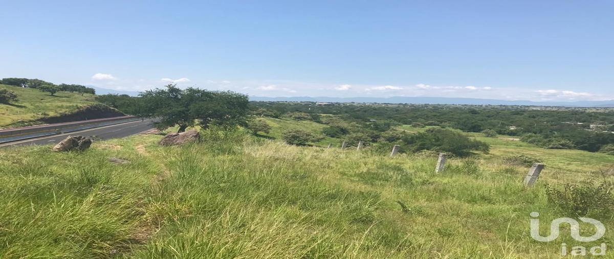 Foto de terreno comercial en venta en 00 , alpuyeca, xochitepec, morelos, 0 No. 01