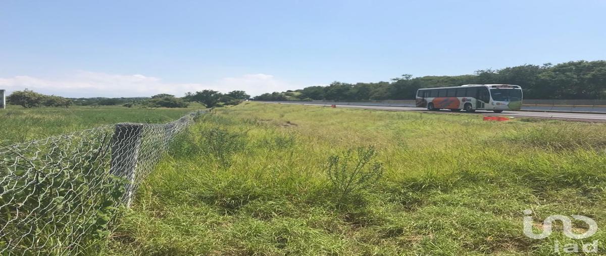 Foto de terreno comercial en venta en 00 , alpuyeca, xochitepec, morelos, 0 No. 03
