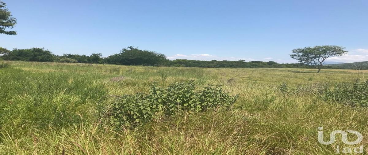Foto de terreno comercial en venta en 00 , alpuyeca, xochitepec, morelos, 0 No. 04