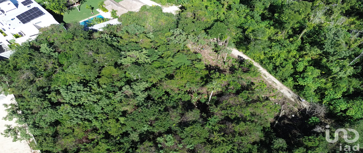 Foto de terreno habitacional en 007 79, loltun, solidaridad, quintana roo, 30796603 foto 02 Foto de terreno habitacional en venta en 007 79, loltun, solidaridad, quintana roo, 30796603 No. 02