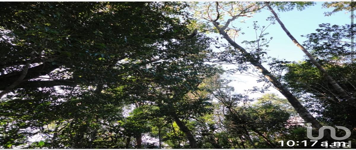 Foto de terreno comercial en venta en 01 66, akumal, tulum, quintana roo, 29502618 No. 05