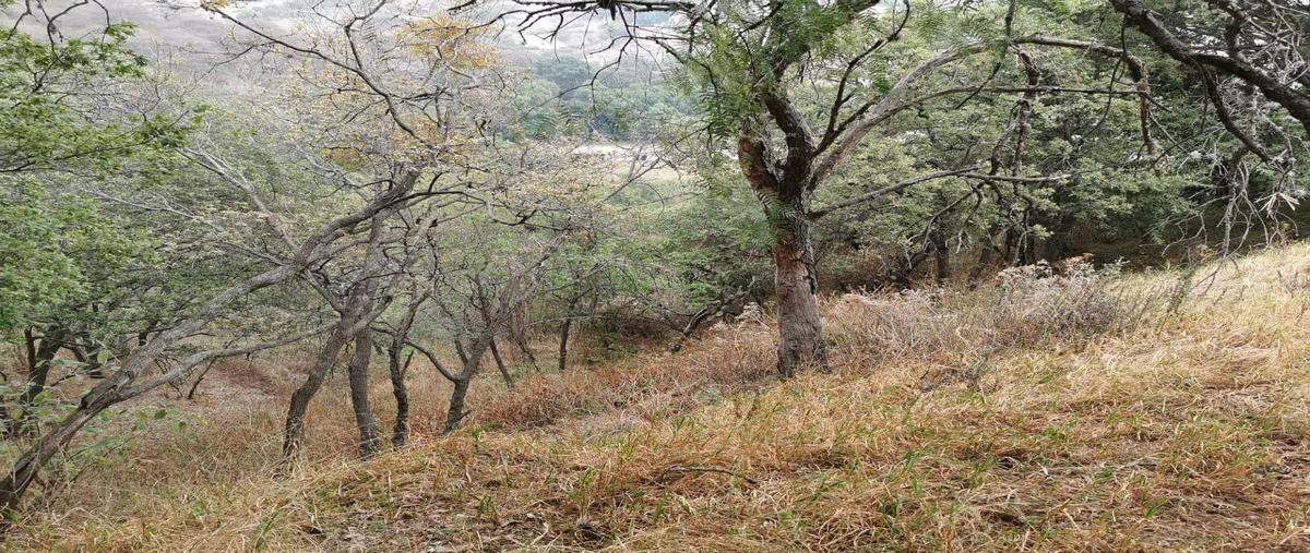 Foto de terreno habitacional en venta en 01 , condado de sayavedra, atizapán de zaragoza, méxico, 25953285 No. 05