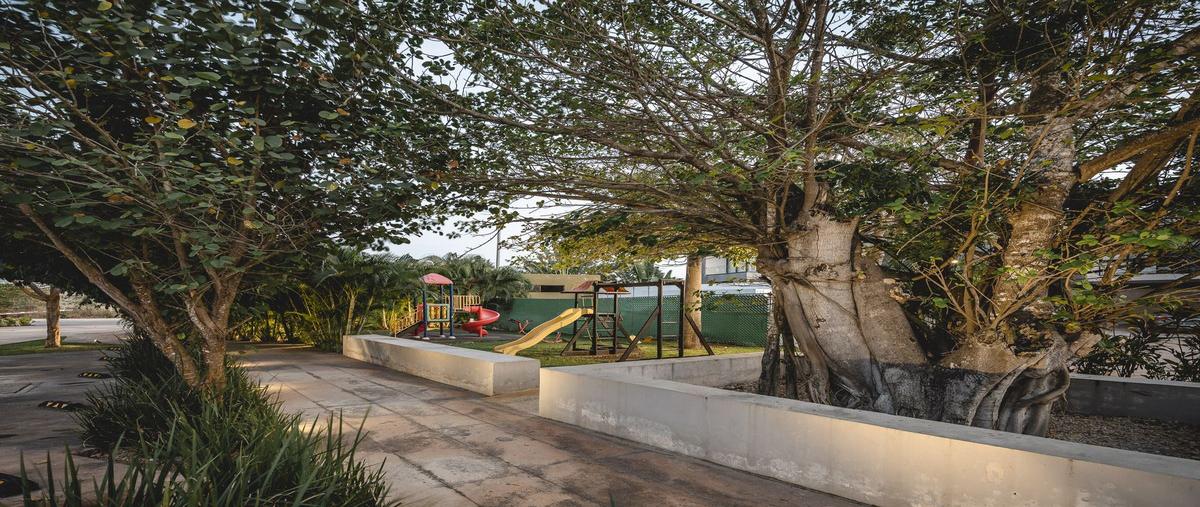 Foto de rancho en venta en 01 , santa gertrudis copo, mérida, yucatán, 0 No. 04