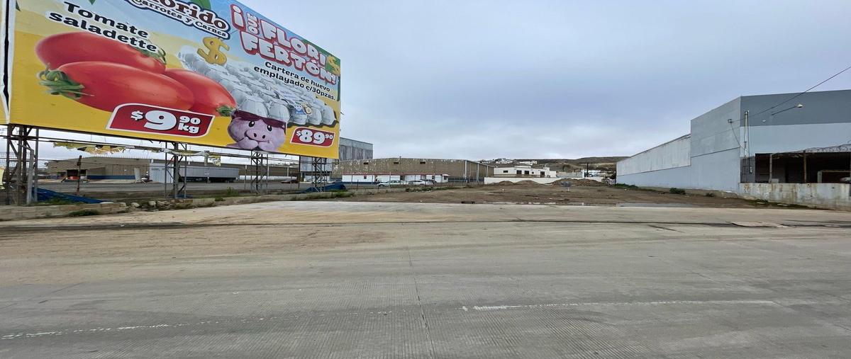 Foto de terreno comercial en renta en 013 fraccionamiento b , colinas del mar, ensenada, baja california, 29447545 No. 04