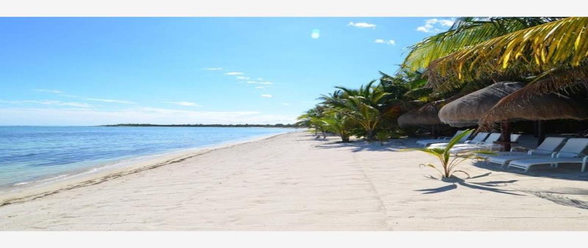 Foto de casa en venta en 1 1, bahías de punta solimán, tulum, quintana roo, 0 No. 02
