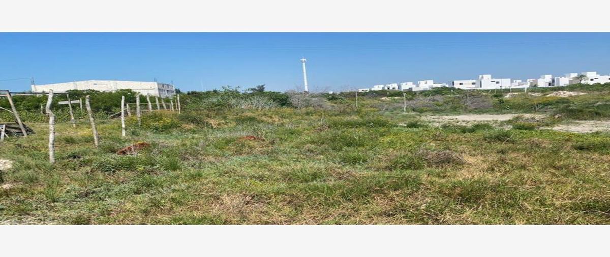Foto de terreno comercial en venta en 1 1, chelem, progreso, yucatán, 22401890 No. 03