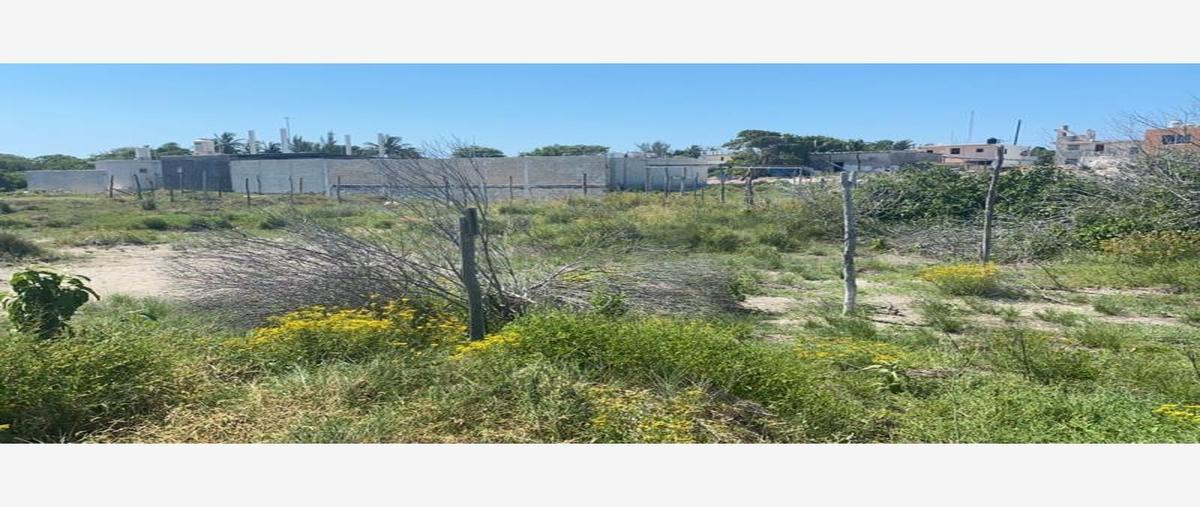 Foto de terreno comercial en venta en 1 1, chelem, progreso, yucatán, 22401890 No. 05