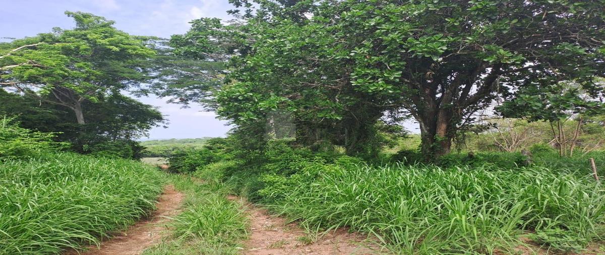 Foto de terreno comercial en 1 1, la laguna, medellín de bravo, veracruz de ignacio de la llave, 30128754 foto 01 Foto de terreno comercial en venta en 1 1, la laguna, medellín de bravo, veracruz de ignacio de la llave, 30128754 No. 01