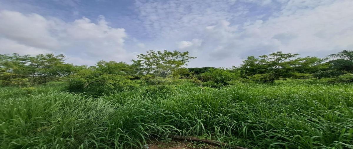 Foto de terreno comercial en 1 1, la laguna, medellín de bravo, veracruz de ignacio de la llave, 30128754 foto 04 Foto de terreno comercial en venta en 1 1, la laguna, medellín de bravo, veracruz de ignacio de la llave, 30128754 No. 04