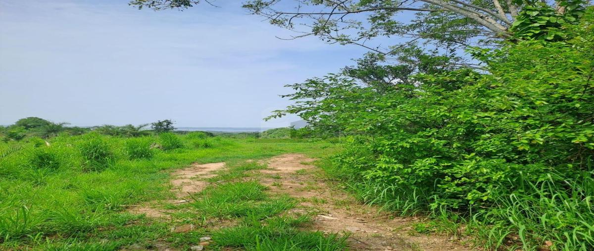 Foto de terreno comercial en 1 1, la laguna, medellín de bravo, veracruz de ignacio de la llave, 30128754 foto 05 Foto de terreno comercial en venta en 1 1, la laguna, medellín de bravo, veracruz de ignacio de la llave, 30128754 No. 05