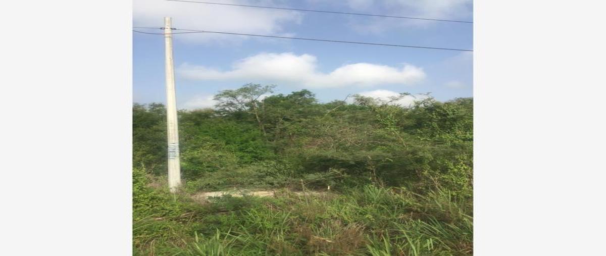 Foto de terreno comercial en renta en 1 1, progreso de castro centro, progreso, yucatán, 0 No. 01