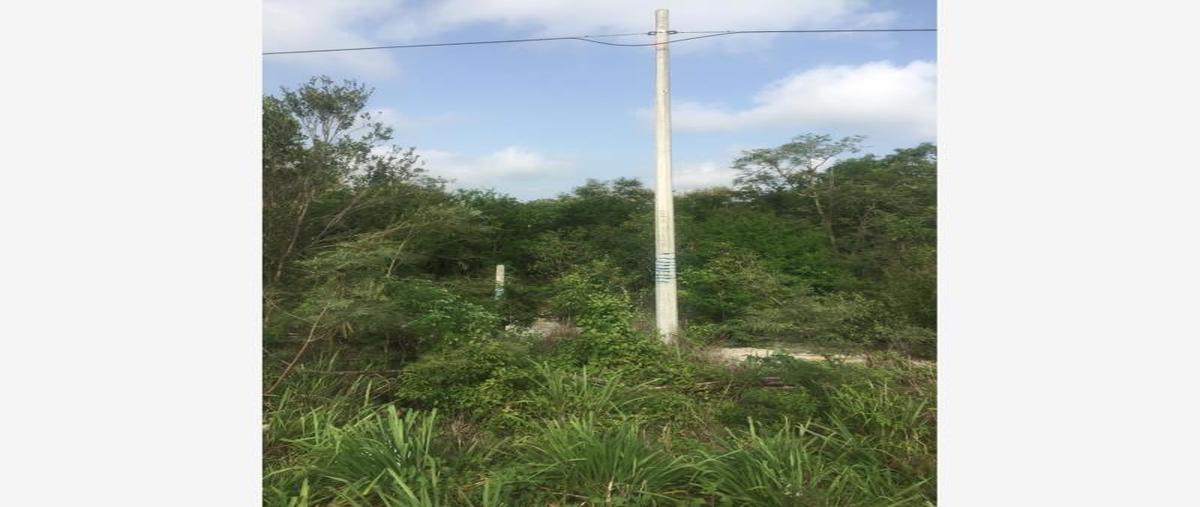 Foto de terreno comercial en renta en 1 1, progreso de castro centro, progreso, yucatán, 0 No. 02