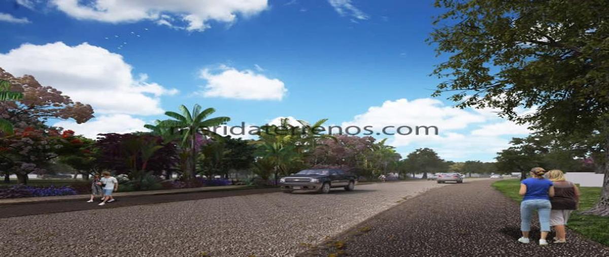 Foto de terreno habitacional en 1 1, pueblo cholul, mérida, yucatán 1, cholul, mérida, yucatán, 8876062 foto 01 Foto de terreno habitacional en venta en 1 1, pueblo cholul, mérida, yucatán 1, cholul, mérida, yucatán, 8876062 No. 01