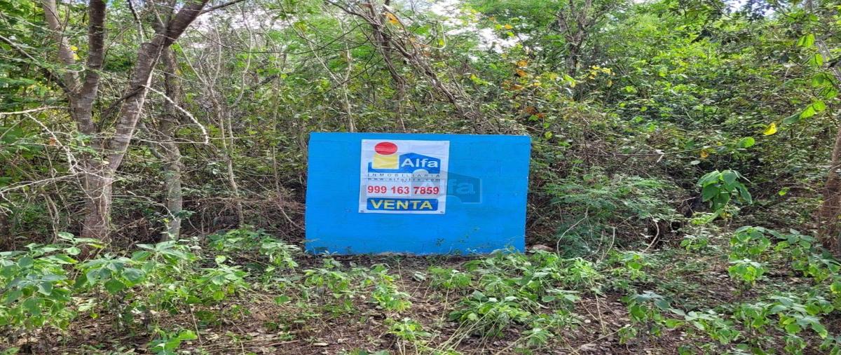 Foto de terreno habitacional en venta en 1 1, tahdzibichén, mérida, yucatán, 29048833 No. 01