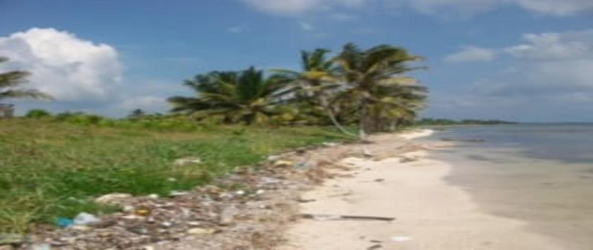 Foto de terreno habitacional en venta en 1 1, xcalak, othón p. blanco, quintana roo, 0 No. 03