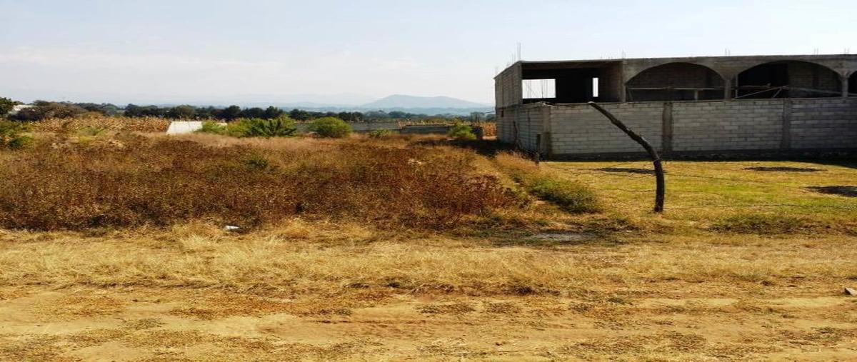 Foto de terreno habitacional en venta en 1 11, san diego tepantongo, atlatlahucan, morelos, 11197277 No. 02