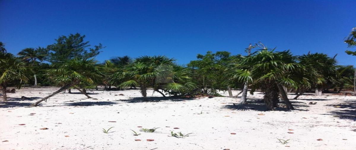 Foto de terreno comercial en venta en 1 400, mahahual, othón p. blanco, quintana roo, 27842004 No. 05