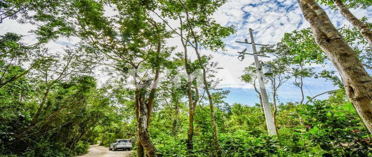 Foto de rancho en venta en 1 , akumal, tulum, quintana roo, 0 No. 04
