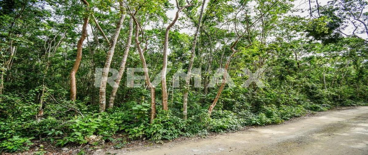 Foto de rancho en venta en 1 , akumal, tulum, quintana roo, 0 No. 05