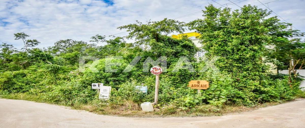 Foto de terreno habitacional en venta en 1 , akumal, tulum, quintana roo, 0 No. 03