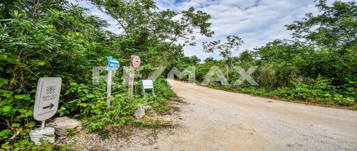 Foto de terreno habitacional en venta en 1 , akumal, tulum, quintana roo, 0 No. 04