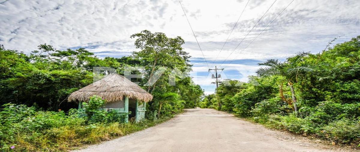 Foto de terreno habitacional en venta en 1 , akumal, tulum, quintana roo, 0 No. 05