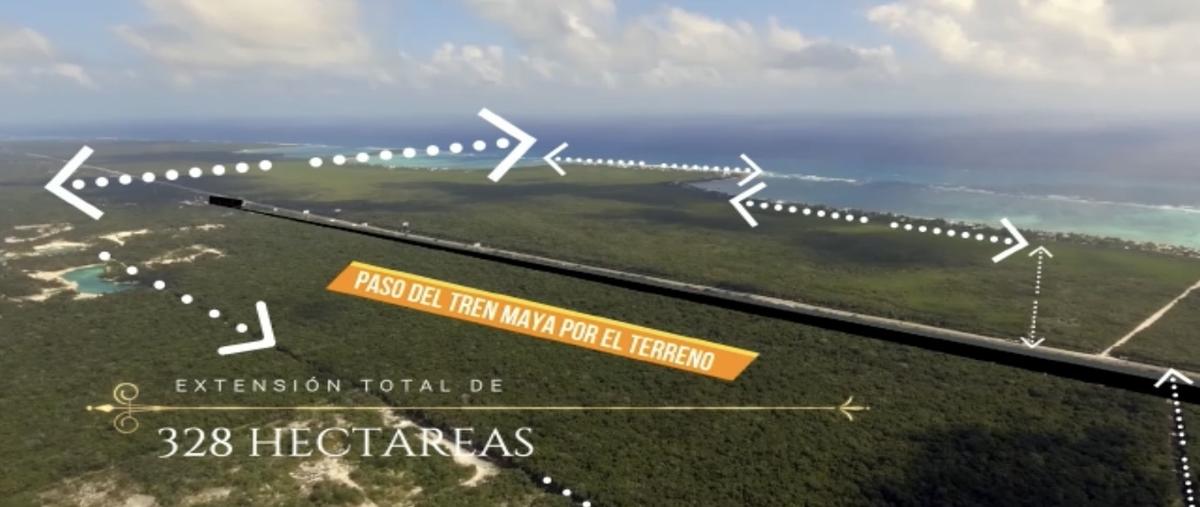 Foto de terreno habitacional en venta en 1 , aldea zama, tulum, quintana roo, 0 No. 04