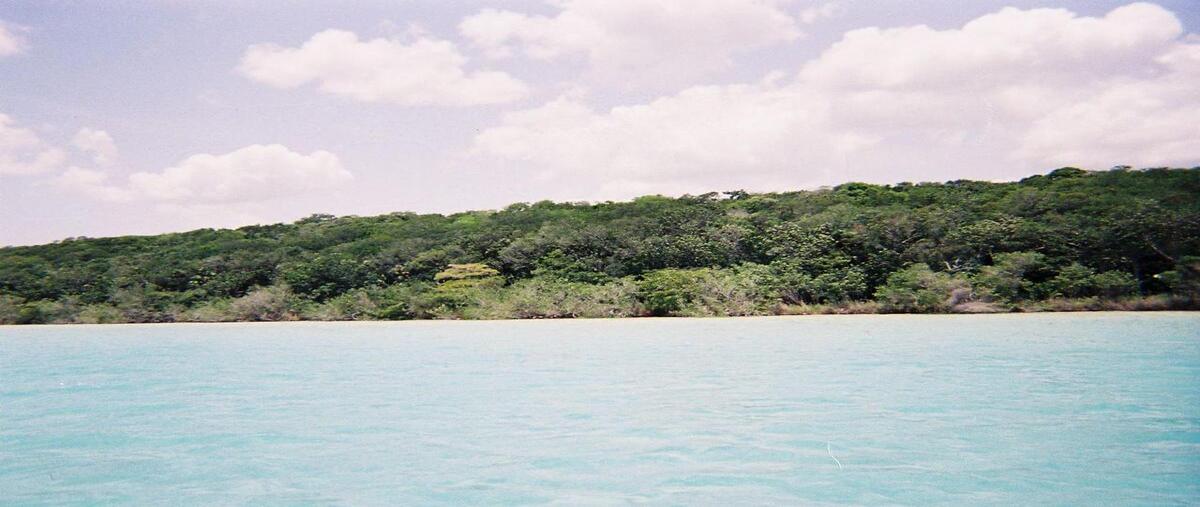 Foto de terreno comercial en 1 , bacalar dos, bacalar, quintana roo, 0 foto 02 Foto de terreno comercial en venta en 1 , bacalar dos, bacalar, quintana roo, 0 No. 02