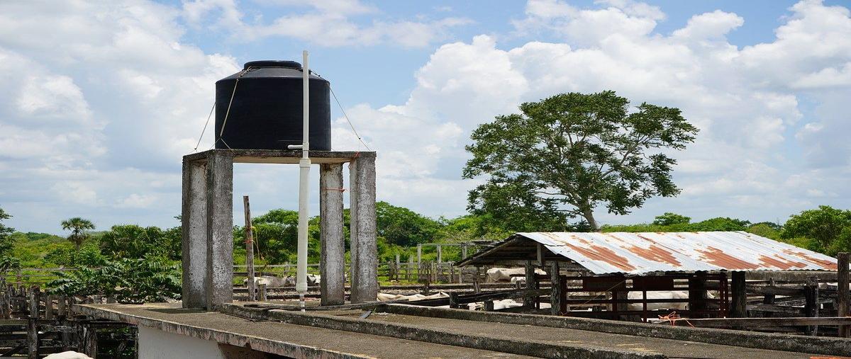 Foto de rancho en venta en 1 , buctzotz, buctzotz, yucatán, 0 No. 03