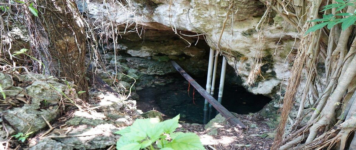 Foto de rancho en venta en 1 , buctzotz, buctzotz, yucatán, 0 No. 05
