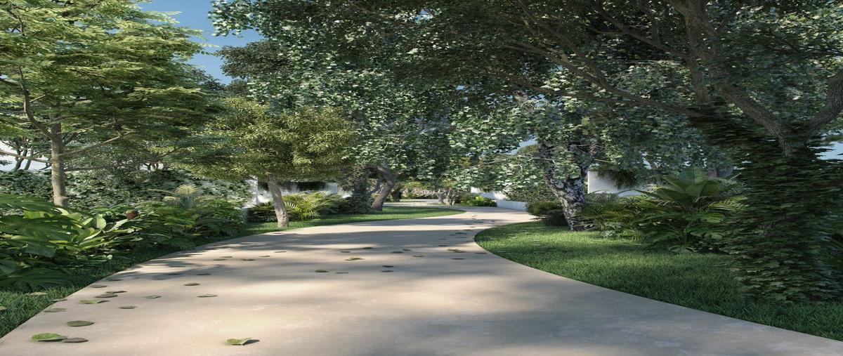 Foto de terreno habitacional en venta en 1 , cabo norte, mérida, yucatán, 0 No. 03