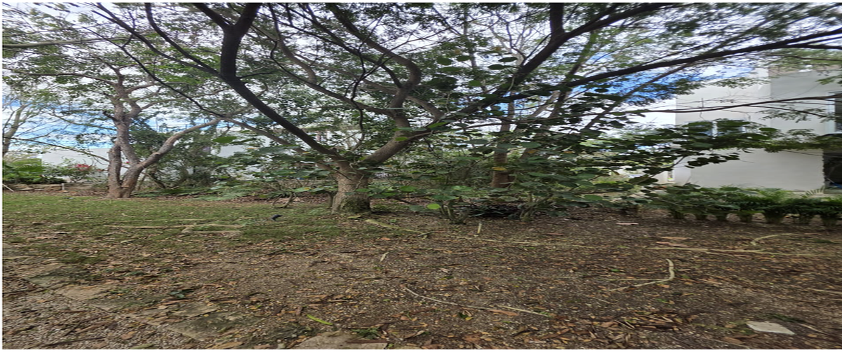 Foto de terreno habitacional en venta en 1 , cabo norte, mérida, yucatán, 30743801 No. 03