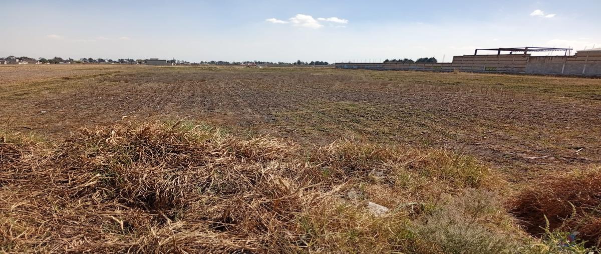 Foto de terreno habitacional en venta en 1 , calixtlahuaca, toluca, méxico, 29379610 No. 05