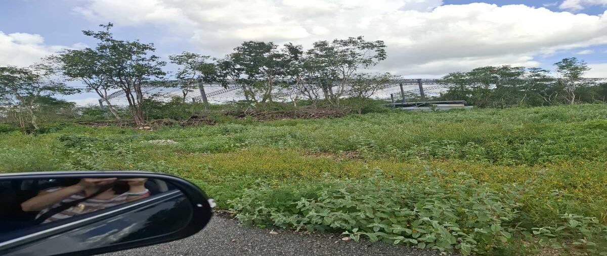Foto de terreno habitacional en venta en 1 , caucel, mérida, yucatán, 0 No. 05